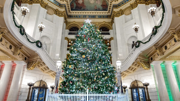 E-news Updates – December 23, 2025