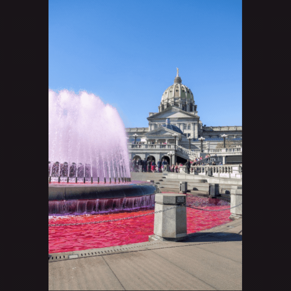 Slideshow of Sen. Rothman joined colleagues and advocates on the steps of the Capitol to kick-off Breast Cancer Awareness Month